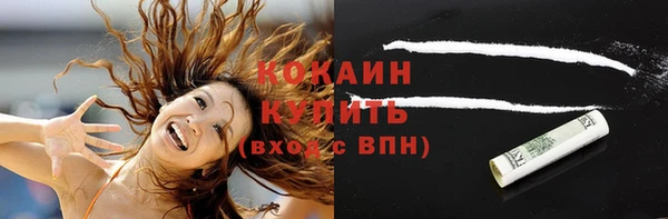 дмт Новозыбков
