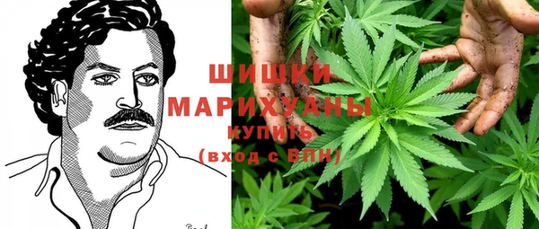 дмт Новозыбков