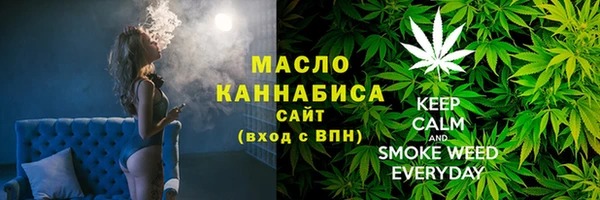 дмт Новозыбков
