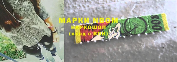 дмт Новозыбков