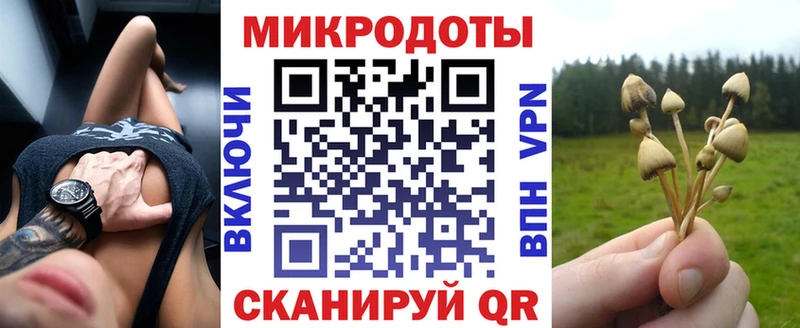 Галлюциногенные грибы Magic Shrooms  Купить закладки  Югорск 